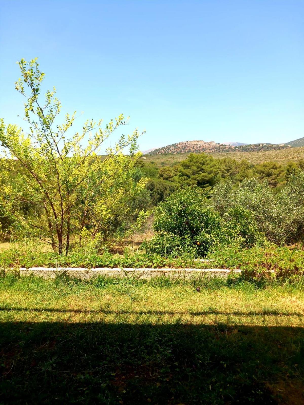 4T Apartments Argostoli  Eksteriør billede